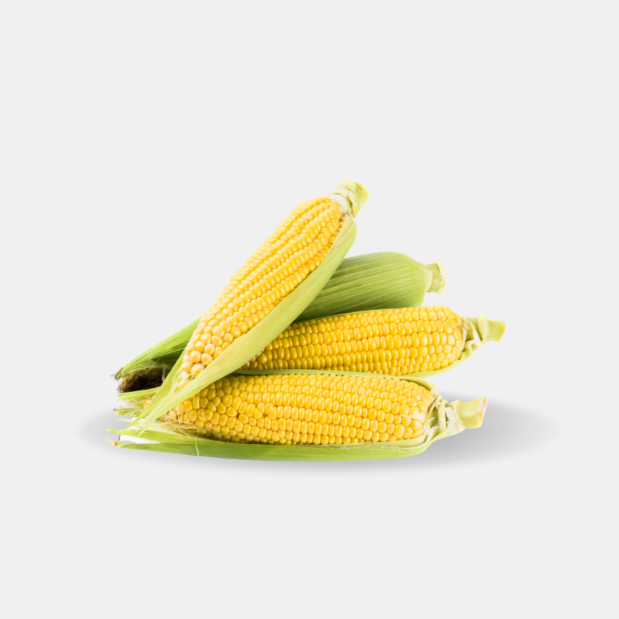 ذرة صفراء فريش