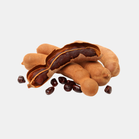 تمر هندي طازج