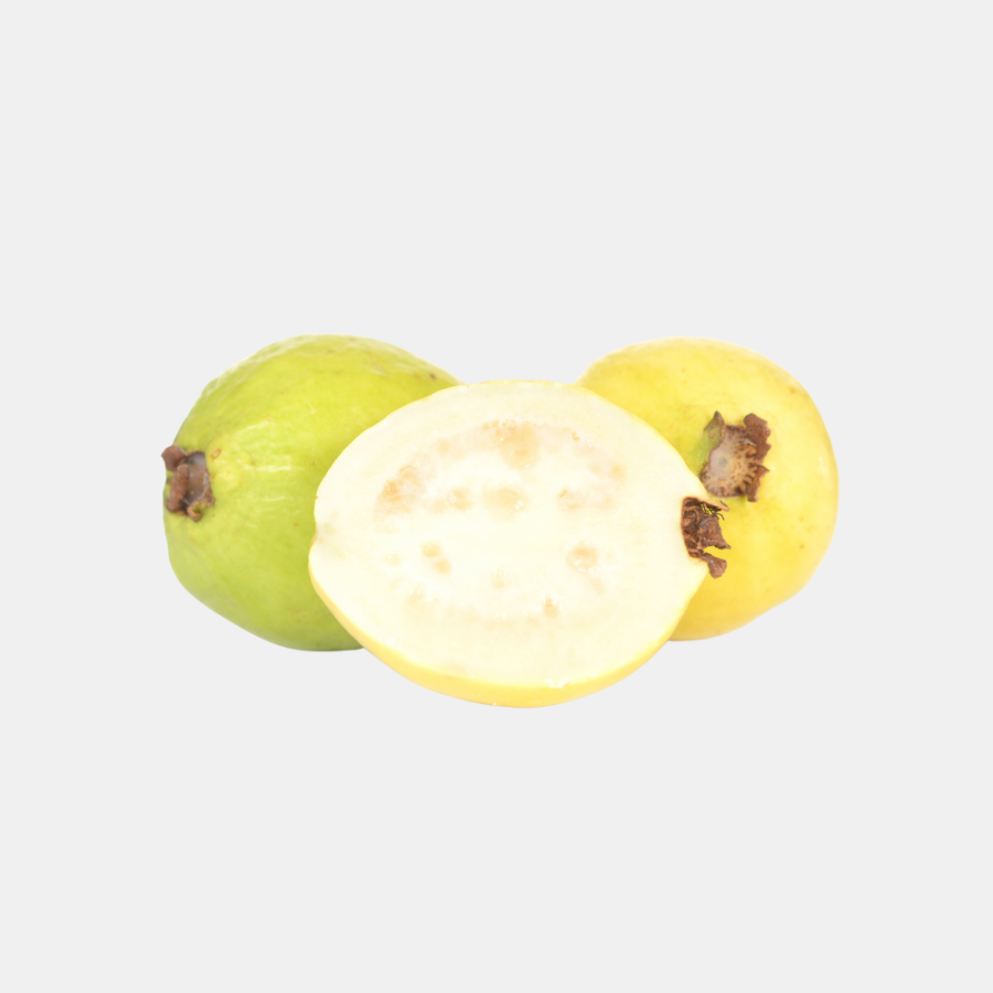 جوافة بلدي