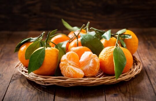 Mandarine210209041510427~