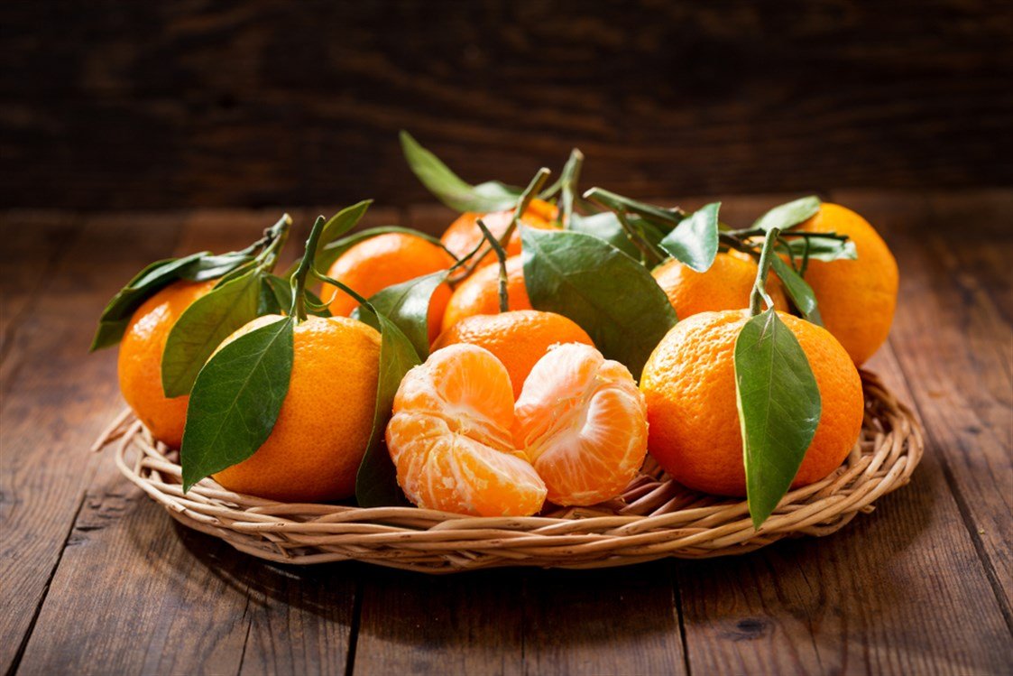 🍊 الفرق بين اليوسفي البلدي، الصيني، والكلامنتين